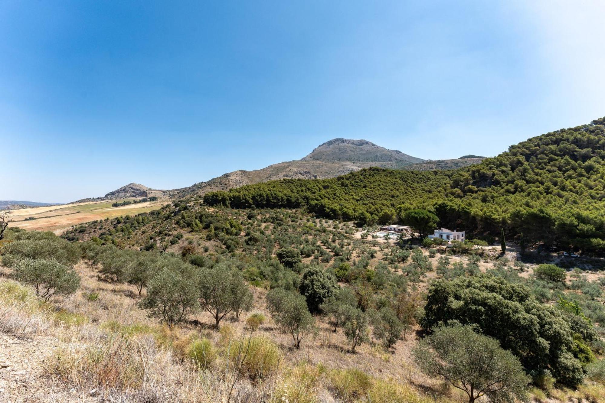 Cortijo La Zahurdilla Yunquera Exterior foto